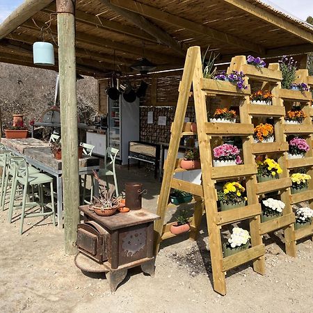 Carmey Avdat Farm Midreshet Ben Gurion Exteriér fotografie