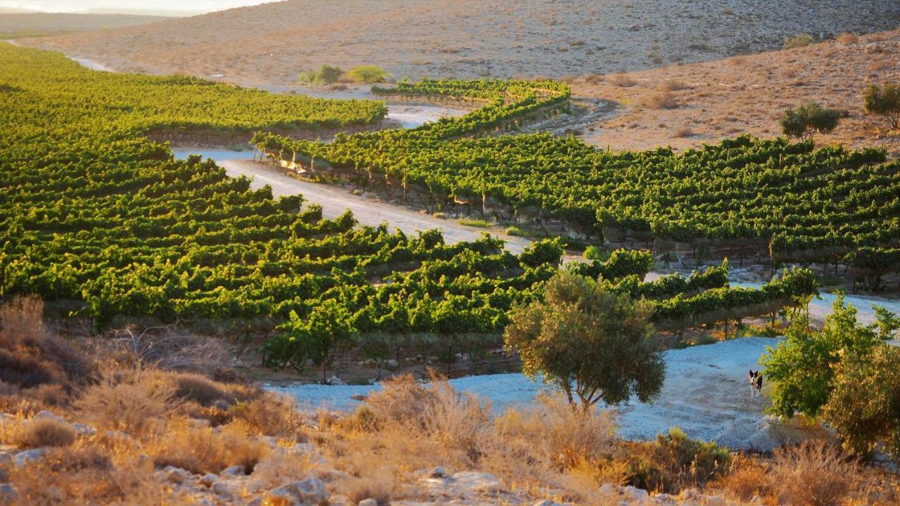 Carmey Avdat Farm Midreshet Ben Gurion Exteriér fotografie
