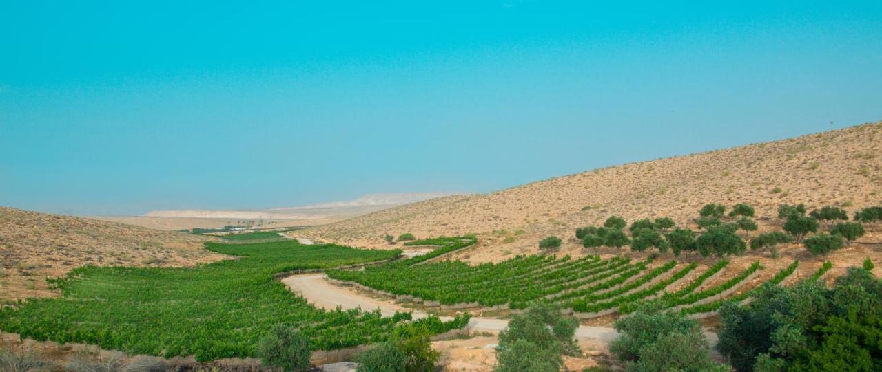 Carmey Avdat Farm Midreshet Ben Gurion Exteriér fotografie